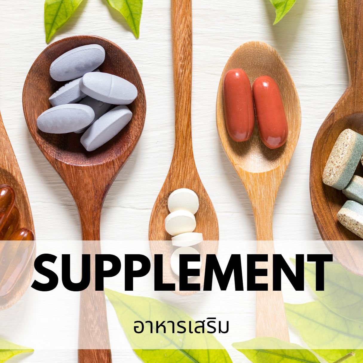 Oem Supplement
