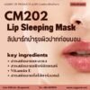 CM202 รับผลิตLip Sleeping Mask รับผลิตลิปมาร์กบำรุงผิวปากก่อนนอน