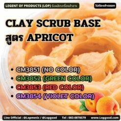CM3851 รับผลิตCLAY SCRUB BASE สูตร APRICOT รับผลิตสครับขัดผิว เนื้อโคลน/เคลย์
