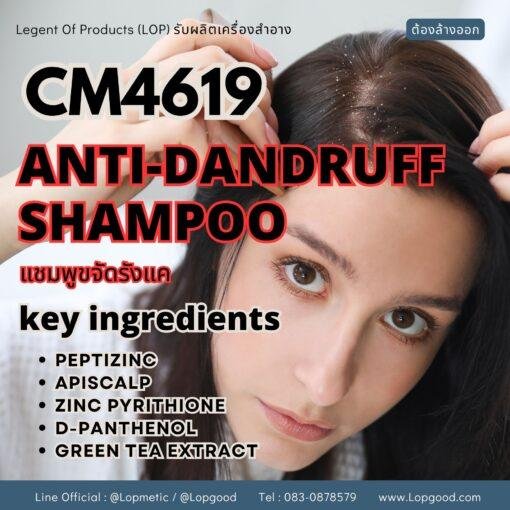 CM4619 รับผลิตANTI-DANDRUFF SHAMPOO รับผลิตแชมพูขจัดรังแค สูตร PEPTIZINCและAPISCALP