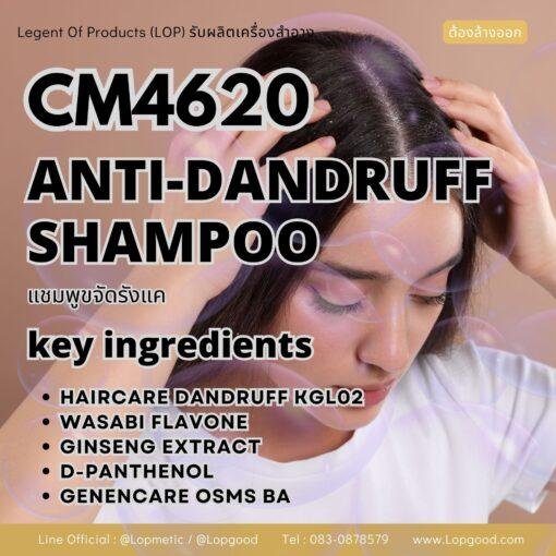 CM4620 รับผลิตANTI-DANDRUFF SHAMPOO รับผลิตแชมพูขจัดรังแค สูตร HAIRCARE DANDRUFF KGL02 และ WASABI FLAVONE