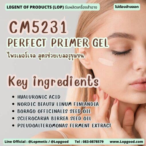 CM5231 รับผลิตPERFECT PRIMER GEL รับผลิตไพรเมอร์เจล สูตรช่วยเบลอรูขุมขน