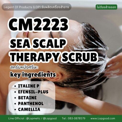 CM5223 รับผลิตSEA SCALP THERAPY SCRUB รับผลิตสครับทำความสะอาดหนังศรีษะ สูตร ITALINE P และ EFENSI-PLUS