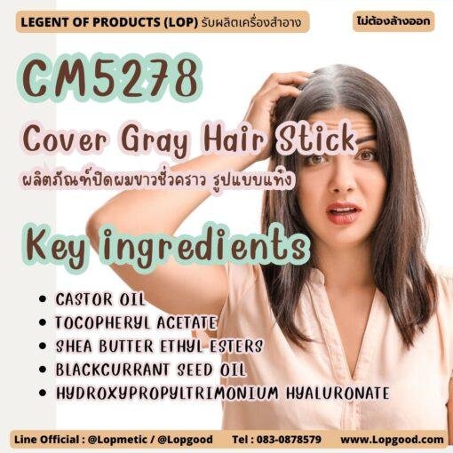 CM5278 Cover Gray Hair Stick ผลิตภัณฑ์ปิดผมขาวชั่วคราว รูปแบบแท่ง
