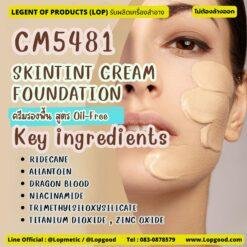 CM5481 รับผลิต SKINTINT CREAM FOUNDATION รับผลิตครีมรองพื้น สูตร Oil-Free