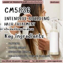 CM5836 รับผลิตINTENSIVE BUILDING HAIR TREATMENT รับผลิคทรีทเม้นท์ซ่อมแซมเส้นผม