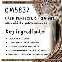 CM5837 รับผลิตHAIR PERFECTOR TREATMENT รับผลิตทรีตเมนต์เข้มข้น สูตรป้องกันผมแห้งเสีย