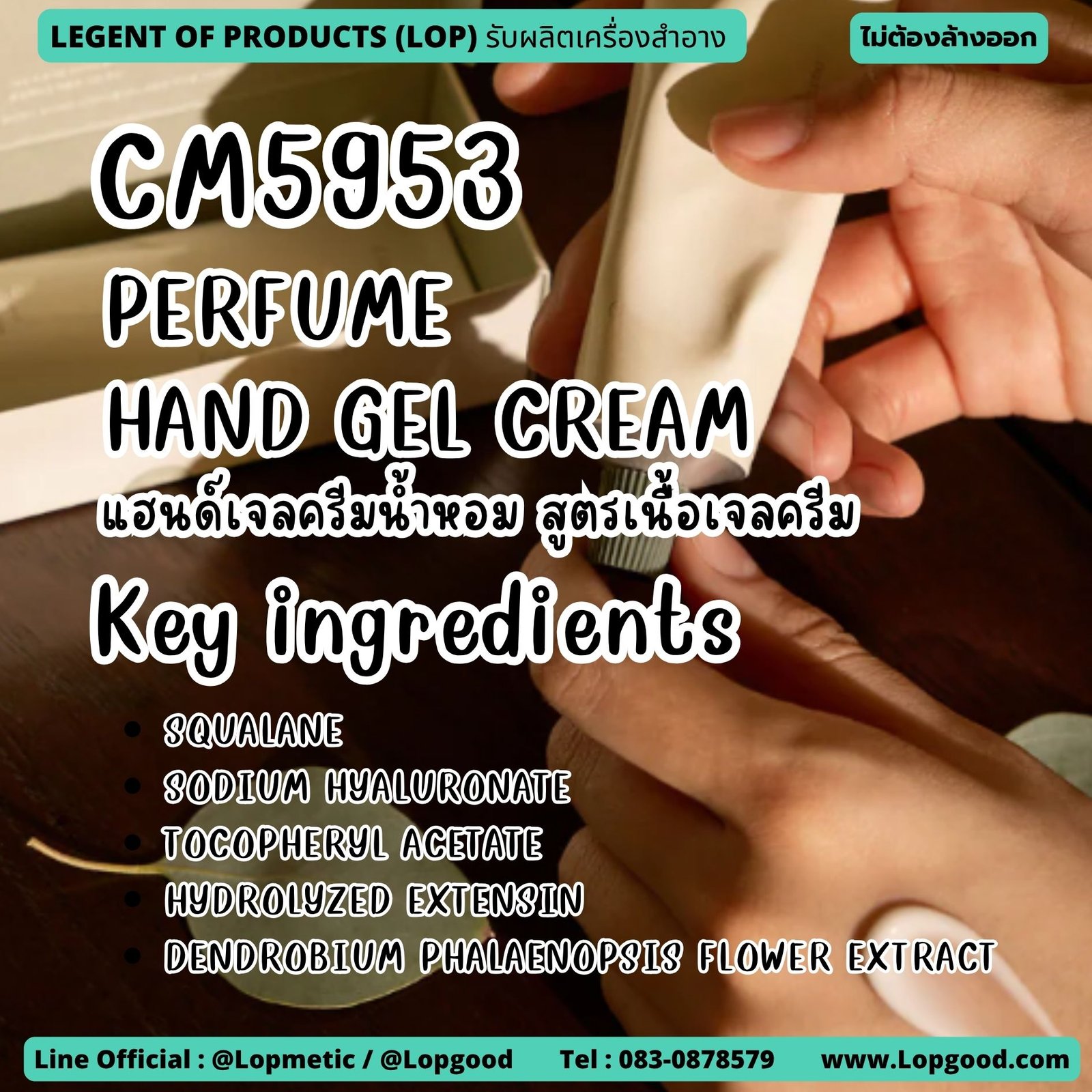 CM5953 รับผลิตPERFUME HAND GEL CREAM รับผลิตแฮนด์เจลครีมน้ำหอม สูตรเนื้อเจลครีม